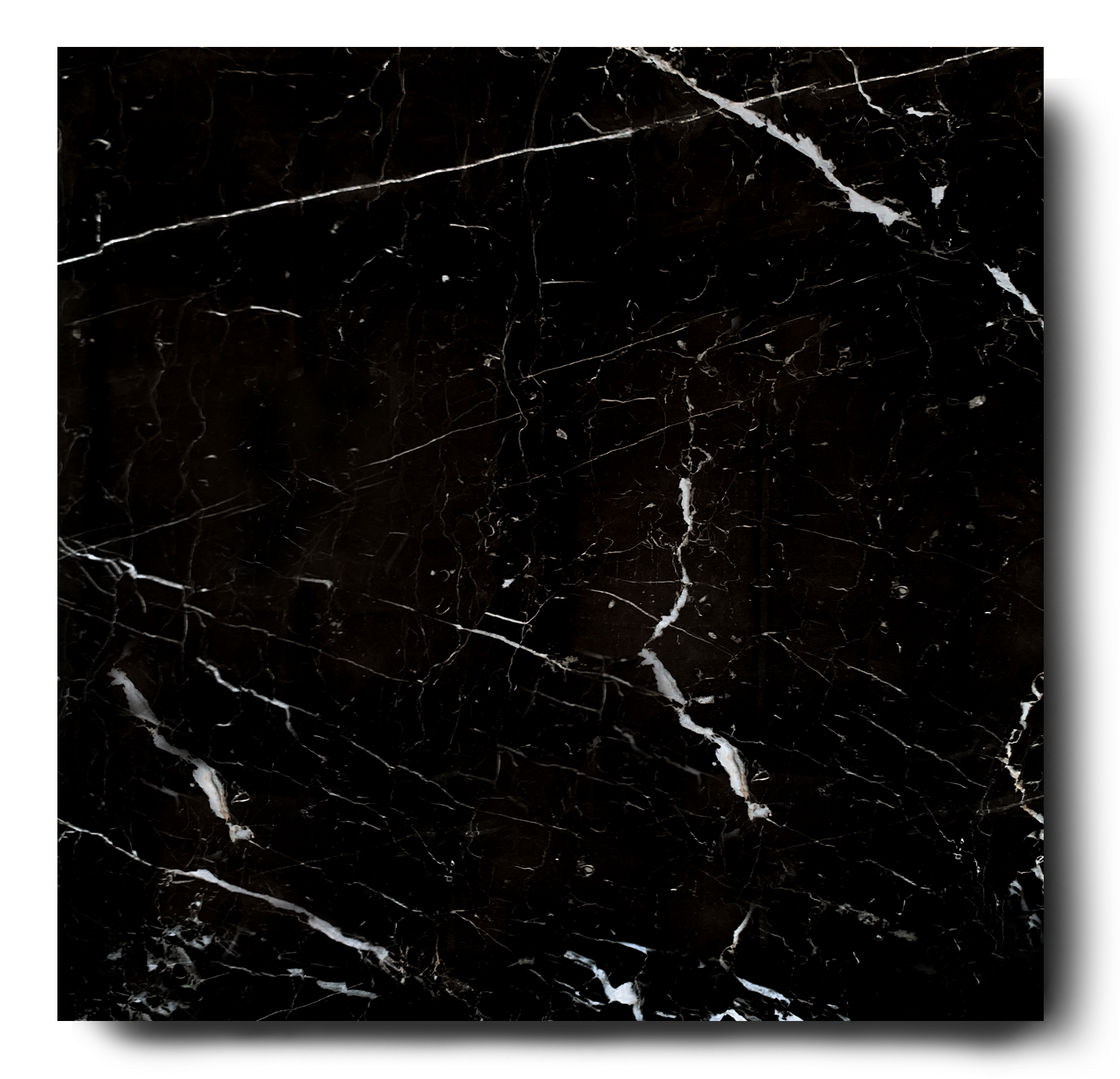 Gepolijst 60x60 cm marmerlook zwart CC4 » Tegels ✓