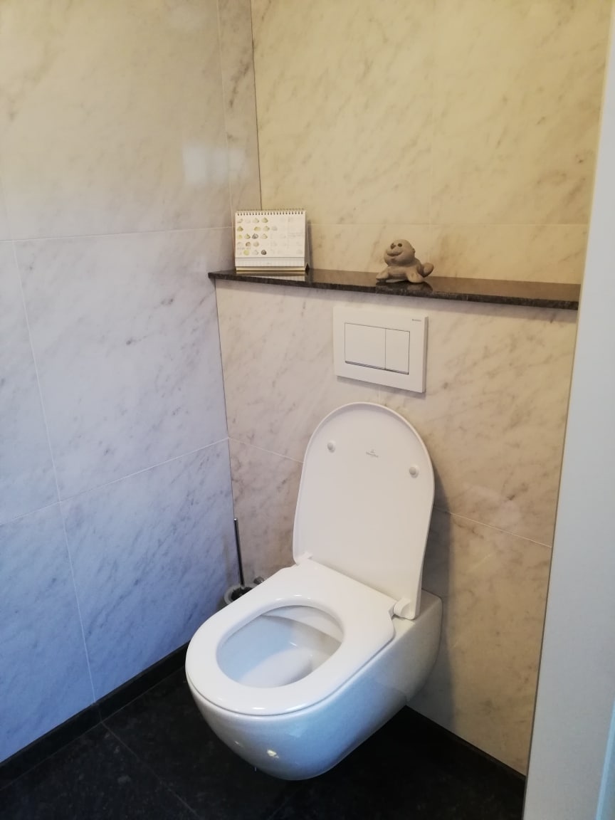 Hoogglans-vloertegel-60×60-cm-Marmerlook-Bianco-Carrara-C108-2-1 Hoogglans vloertegel 60×60 cm Marmerlook Bianco Carrara C108 op het toilet geplaatst.