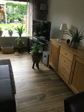 Keramisch parket 23x120 cm Origin Bruin N15 in de woonkamer gelegd.
