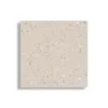 Vloertegel 59,5x59,5 cm Terazzolook Pista Beige R10 N159