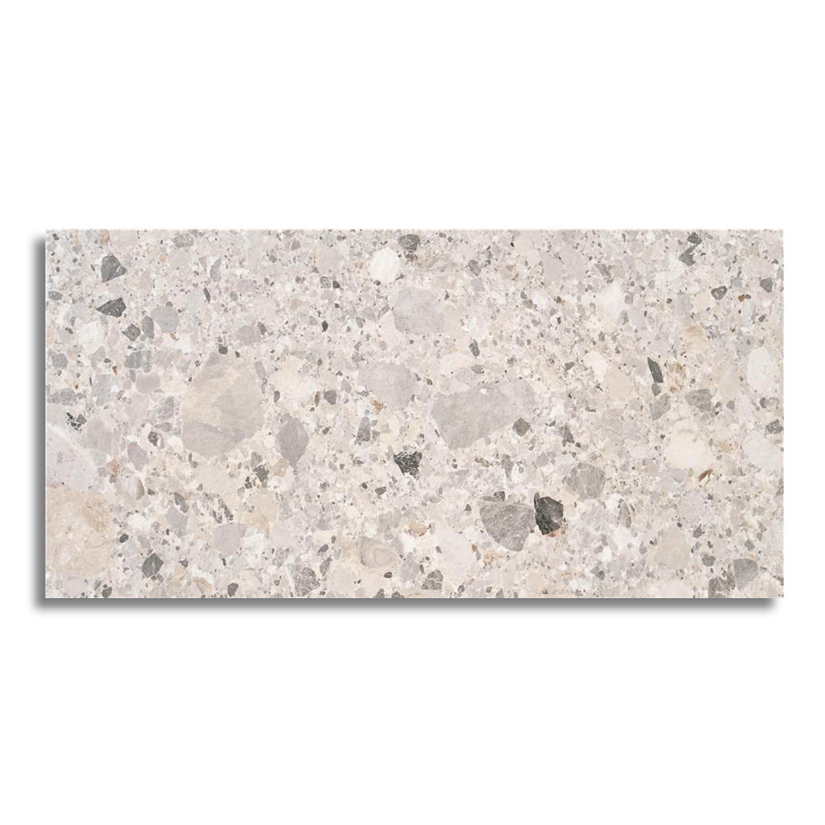 Vloertegel 60x120 cm Terrazzo Animo licht grijs N58