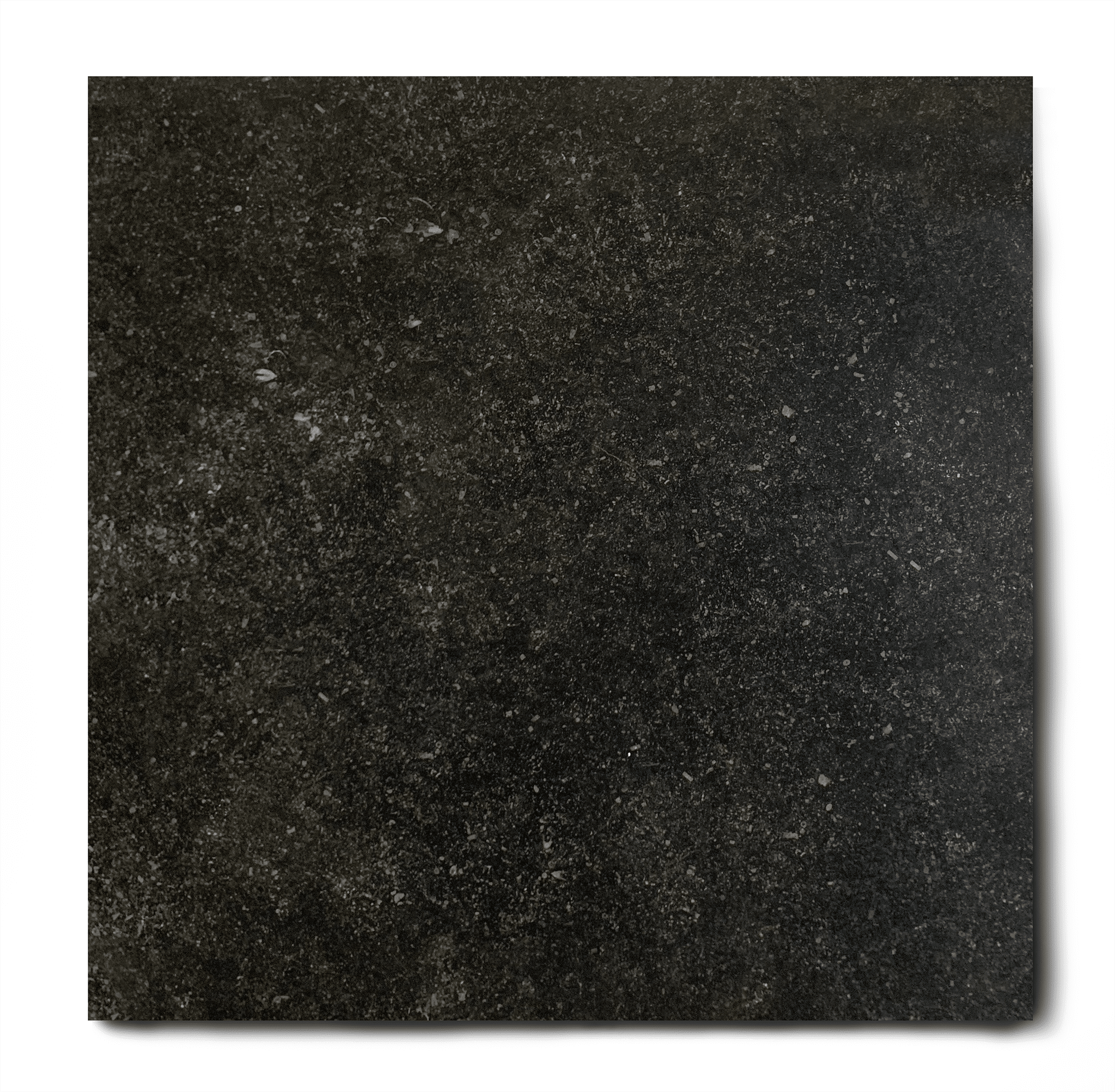 Sta op map Temerity Vloertegel 80x80 cm natuursteen look hardsteen zwart | RBTegels.nl